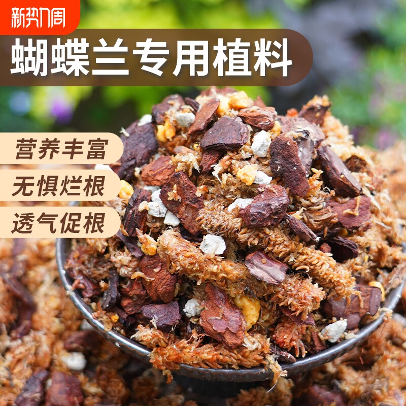 蝴蝶兰专用土盆栽种植松树皮毛毛虫水苔透气料颗粒文心石斛兰花土