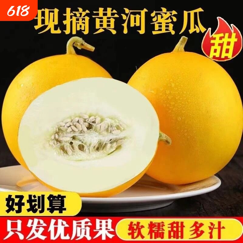 现货陕西黄河蜜瓜甜瓜黄皮白肉香瓜新鲜应季水果新鲜甜瓜