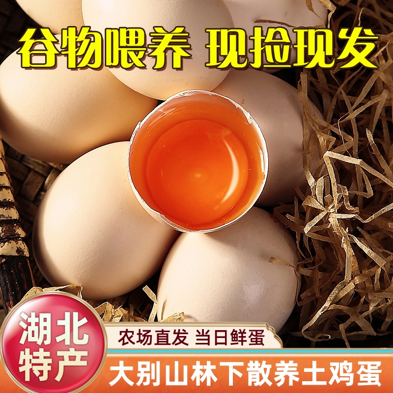 湖北正宗散养土鸡蛋林间散养新鲜柴笨鸡蛋土鸡乌鸡蛋50枚农家直发