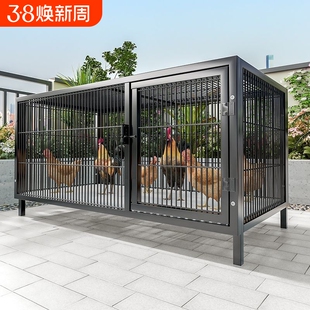 鸡笼子家用室外大号方管密网防雨农村芦丁自动清粪养殖笼防黄鼠狼