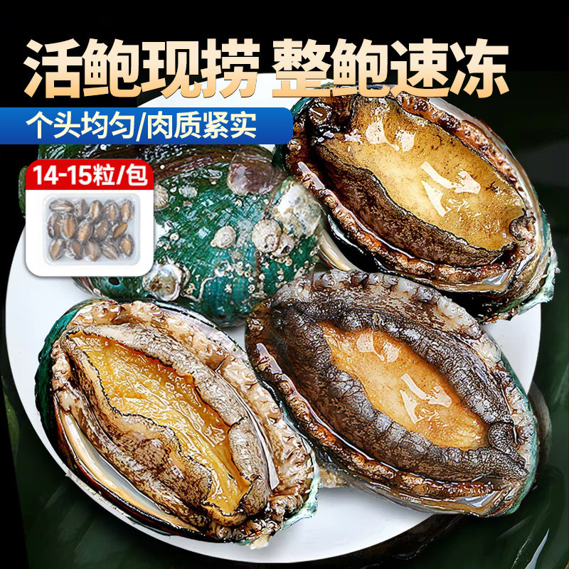 新鲜冷冻活冻大鲍鱼超大号鲜活生鲜火锅烧烤海鲜贝类食材顺丰包邮