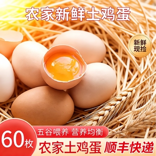 甘肃新鲜土鸡蛋60枚正宗农家散养农村乌柴笨草生鲜鸡蛋 50g/枚