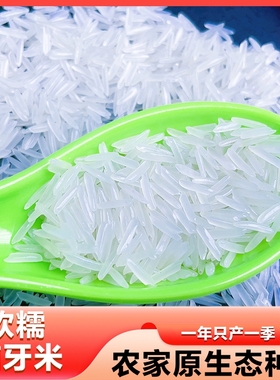 新客特价大米长粒香正宗猫牙米新米优质香米农家米试吃晚稻当季