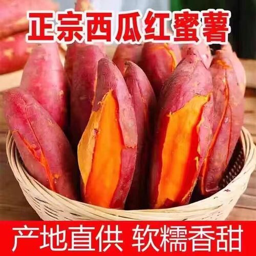 正宗西瓜红蜜薯新鲜红薯农家自种红心地瓜番薯板栗薯糖心沙地香甜