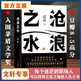 经典 中国现当代文学 阎真作品插图典藏版 短篇长篇小说畅销书籍排行榜 知识分子题材小说 名家长篇小说 官场题材小说 沧浪之水