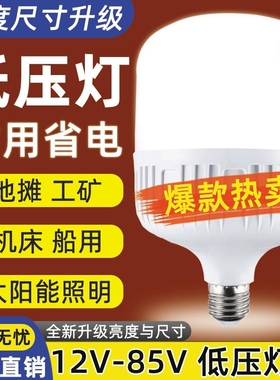 led灯节能灯12v24v36v48v低压灯泡E27螺口交直流工地电瓶太阳能灯