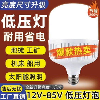 LED节能灯12v24v36v48v低压灯泡