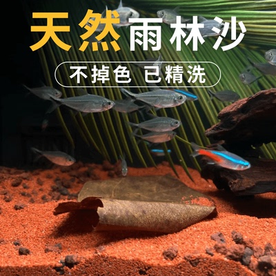 鱼缸免洗沙子底沙雨林红三湖慈鲷南美鼠鱼造景天然金水族铺底造景