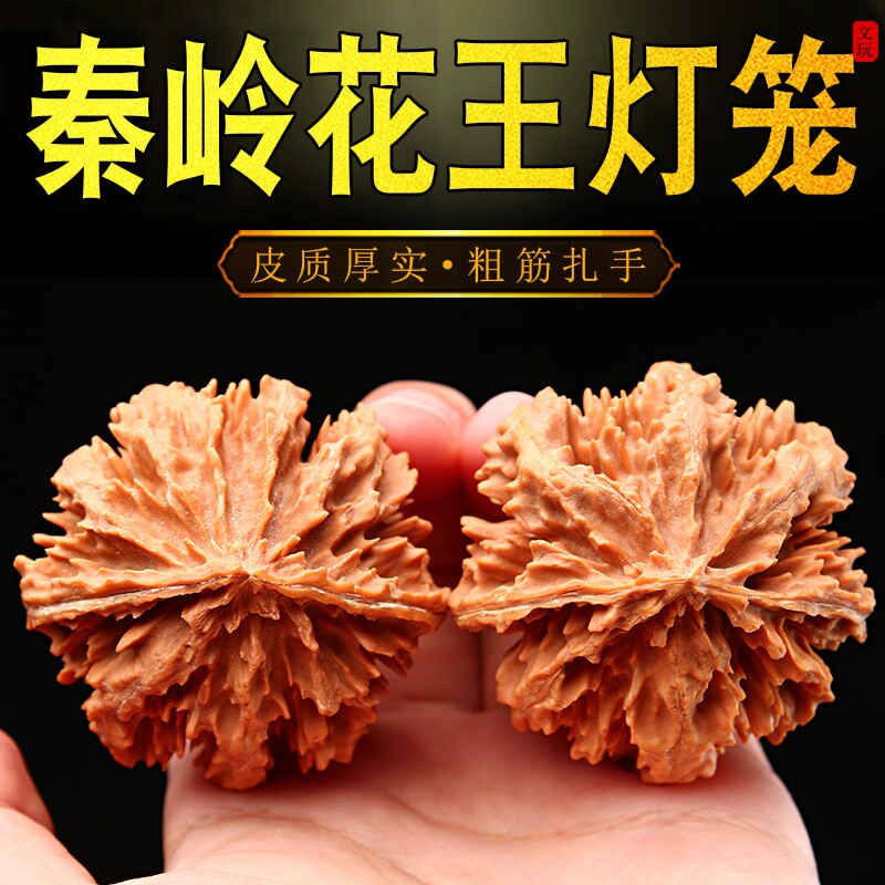 秦岭花王核桃粗筋多棱大刺霸气男女把玩盘玩文玩尺寸手把件野生山