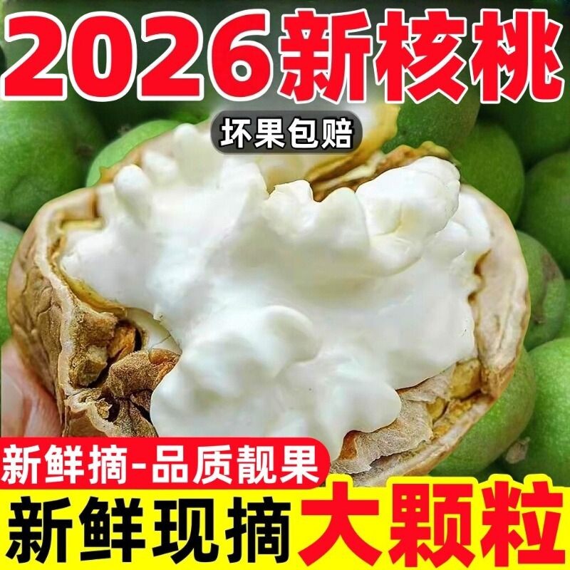 云南新鲜核桃带皮高山老树湿核桃2026年青皮原味油香孕妇薄皮手工