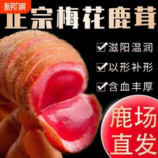 吉林梅花鹿鹿茸整枝泡酒鹿角鹿茸片整根新鲜带血二杠正品 鲜鹿茸真