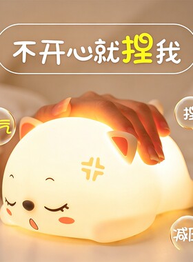 生日礼物女生送女友小猫拍拍
