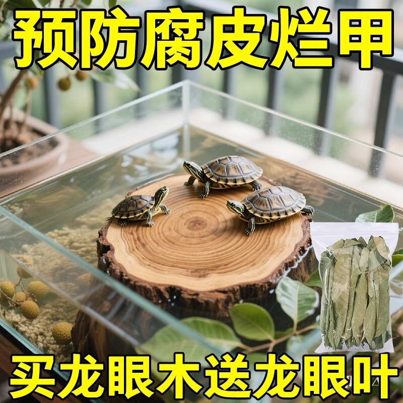 乌龟缸装饰圆形龙眼木休息台龟缸爬台爬架龙眼木头木墩天然家用