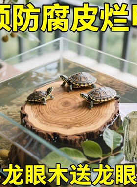 乌龟缸装饰圆形龙眼木休息台龟缸爬台爬架龙眼木头木墩天然家用