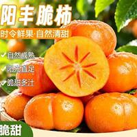 正宗阳丰巧克力脆柿4.5斤