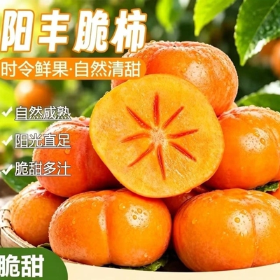 阳丰巧克力脆柿新鲜采摘甜脆可口