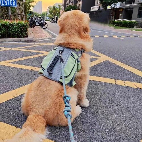 {卖点}