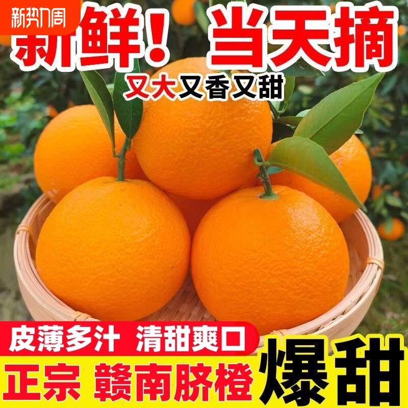 正宗橙子赣南脐橙新鲜当季水果手剥果冻橙子冰糖甜橙大果整箱包邮