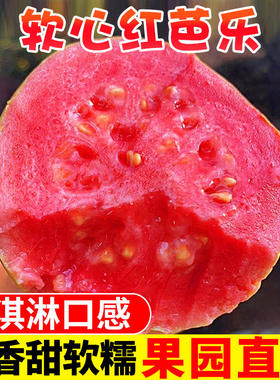 广西软糯红心芭乐5斤新鲜水果番石榴白心芭巴乐整箱包邮3低糖大果