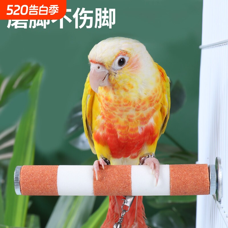 鹦鹉磨嘴魔爪棒虎皮玄凤专用磨牙用品磨砂站杆鸟笼站棍站架