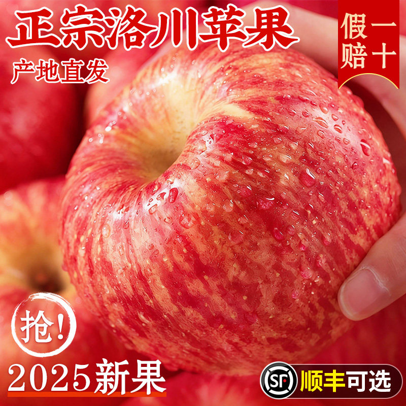 正宗陕西洛川苹果新鲜水果当季整箱红富士冰糖心脆甜9斤包邮,水产肉类/新鲜蔬果/熟食,苹果,淘宝优惠券,粉丝福利购,淘宝优惠卷