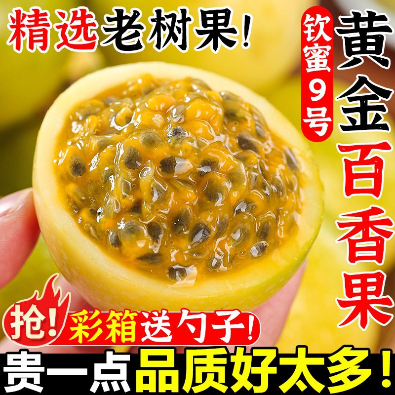 钦蜜9号广西黄金百香果新鲜现摘大果孕妇水果应季5斤原浆整箱包邮