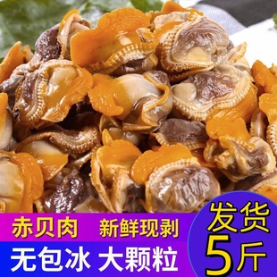 毛蛤蜊肉新鲜冷冻海鲜水产麻钳子肉毛哈肉血蛤肉赤贝肉嘎啦肉商用