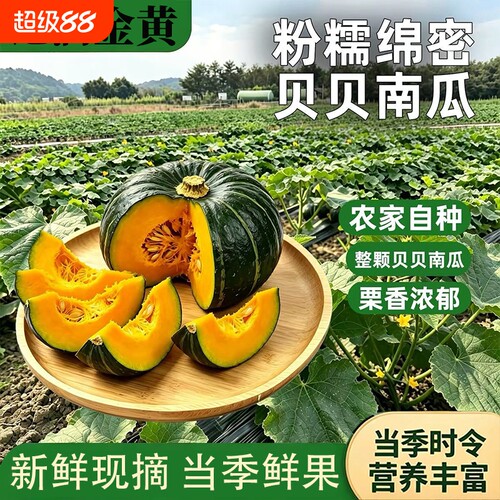 精选当季贝贝南瓜板栗味