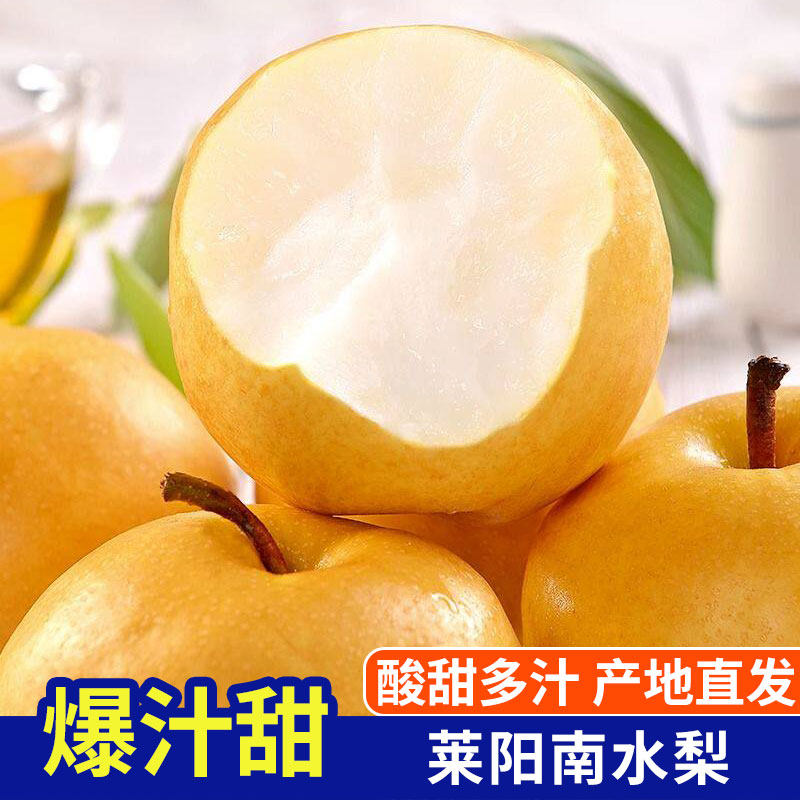 山东特产正宗莱阳南水梨 脆甜多汁当季新鲜水果整箱