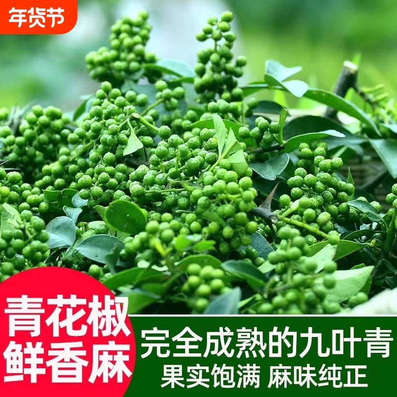 九叶青新鲜花椒重庆江津特产350g保鲜生麻椒粒鲜青藤椒鲜花椒食用