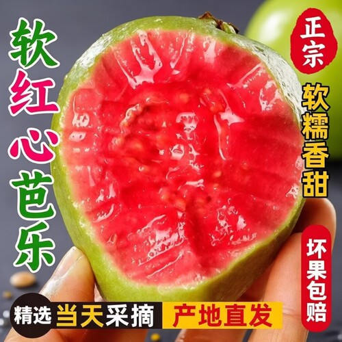 福建红心软芭乐低热量饱腹强番石榴软脆两吃低糖现摘鲜发水果