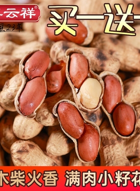 农家柴火铁锅现炒花生原味小籽熟花生带壳年货云祥国民袋装原香
