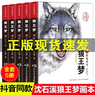 抖音同款 狼王梦正版 全套5册沈石溪动物小说画本系列三四五六年级小学生课外阅读书籍必读经典 15周岁故事书畅销书排行