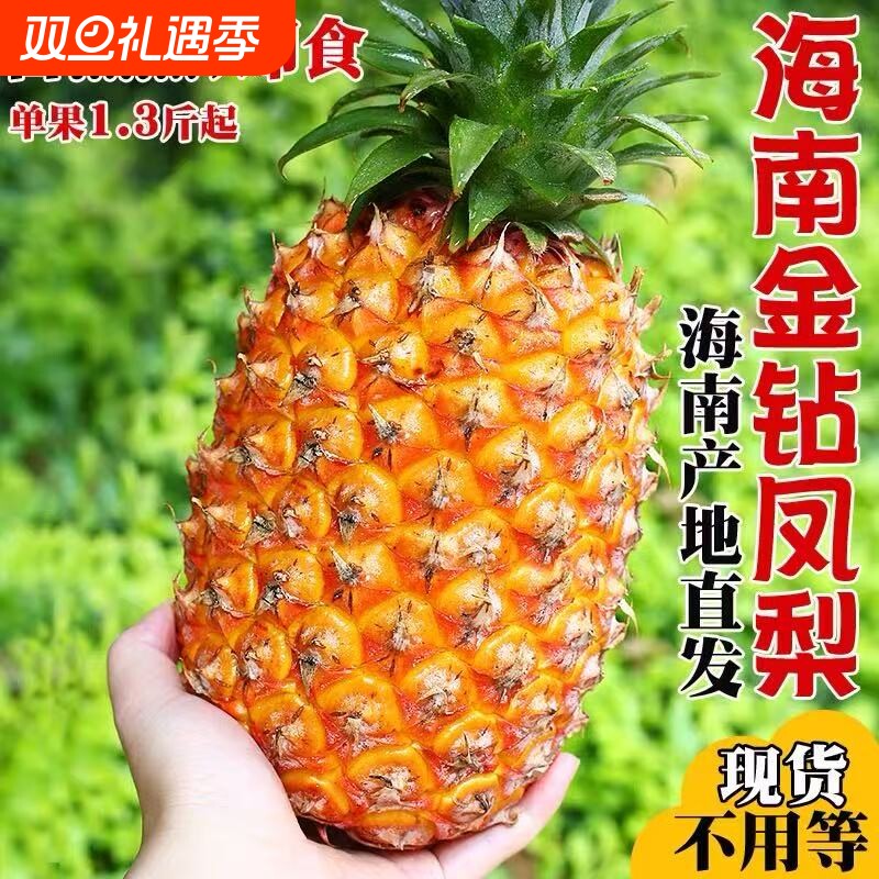 海南金钻凤梨新鲜水果当季手撕菠萝特产脆甜大果应季