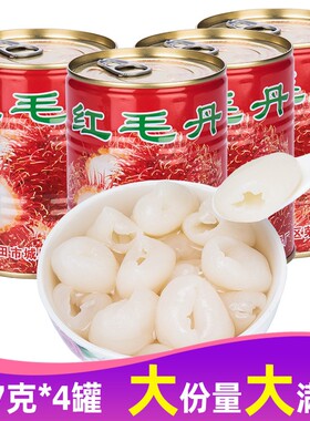 糖水红毛丹罐头水果整箱567g*4罐