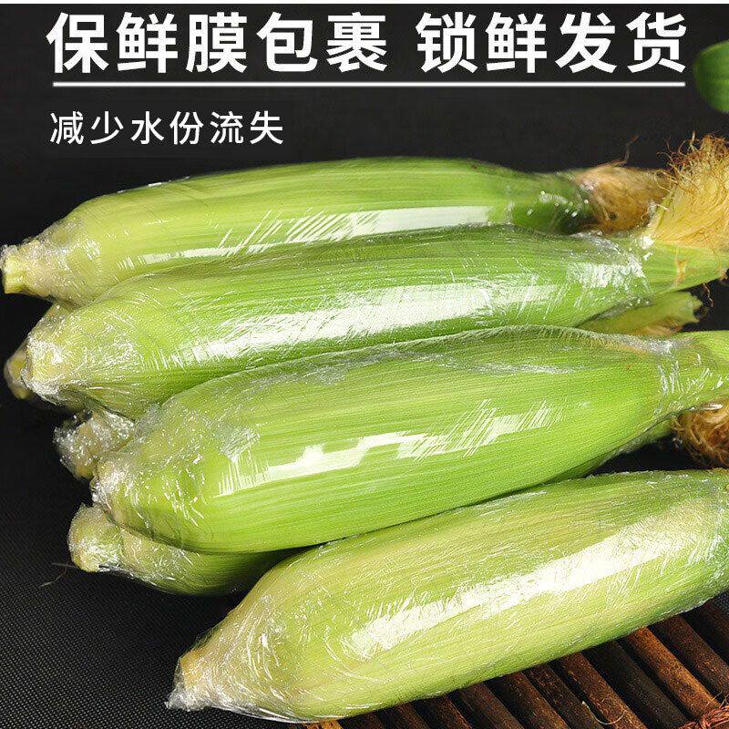 云南水果玉米金银双色新鲜农家蔬菜现摘孕妇可生熟两吃甜玉米棒子
