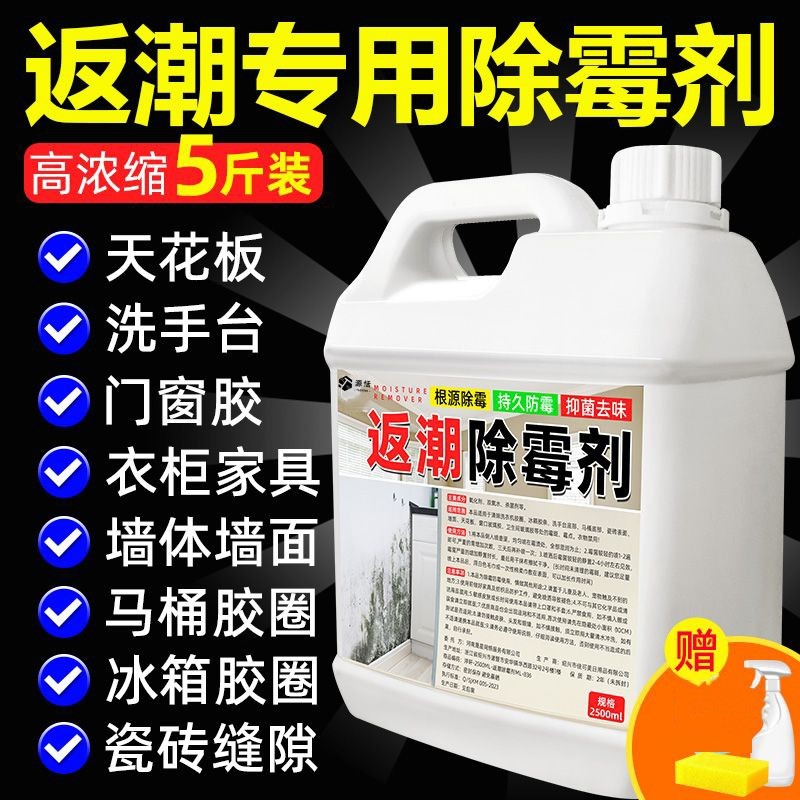 回南天返潮除霉剂墙壁防霉除霉专用清洁家政同款霉斑克星抑菌防霉