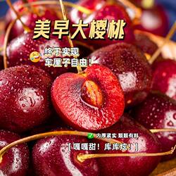 美早大樱桃青岛平度云山脆甜多汁零食当季水果水果送礼大果纯甜