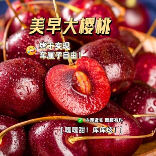 美早大樱桃青岛平度云山脆甜多汁零食当季水果水果送礼大果纯甜