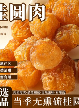桂圆肉正宗无核罐装龙眼肉大去核选新货正品批发泡水零食新鲜原味