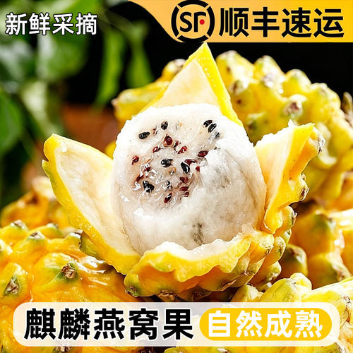 新鲜燕窝果麒麟果热带水果黄皮火龙果清甜丝滑稀有顺丰精选大果