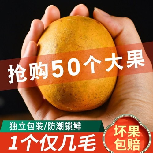 低温脱水黄金罗汉果干果大果散装茶包白肉泡水罗汉果茶小包装