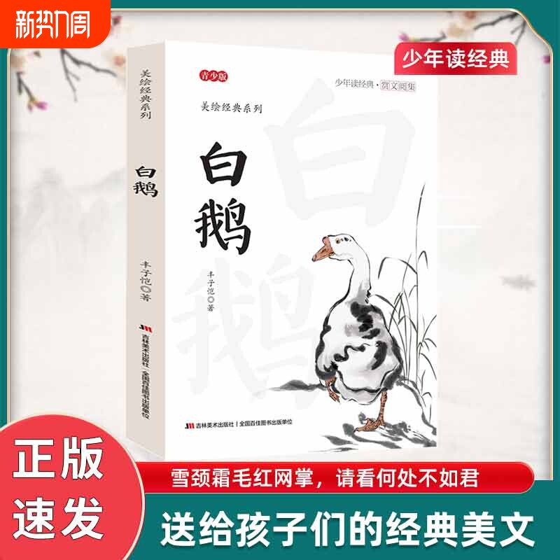 正版速发  白鹅   阳光男孩女孩故事小学生课外同步拓展推荐阅读