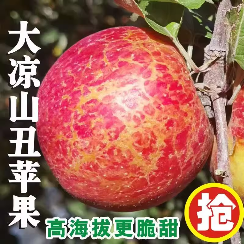 【大凉山糖心丑苹果】盐源冰糖心高原红富士脆甜现摘新鲜孕妇水果