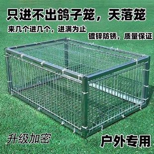 补笼全自动天落笼子撞门捕捉抓收鸽子鸟神器捕笼器加密款网防锈