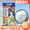 正宗东北大米新米黑龙江产地珍珠米粳米稻香米圆粒大米直发优质