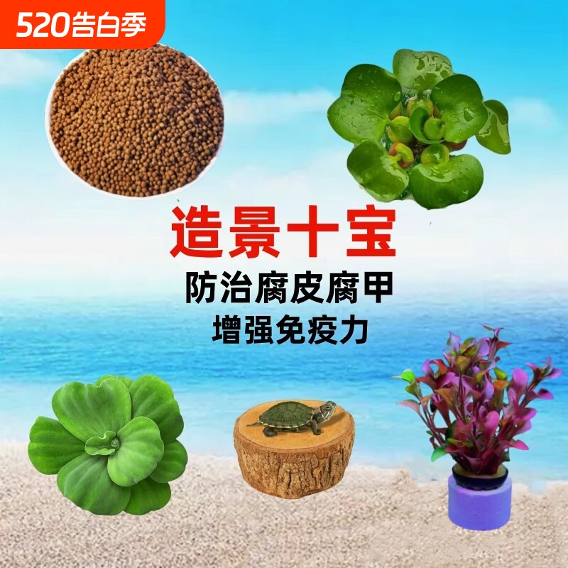 龟缸鱼缸水质稳定剂净化水质植物水草小乌龟晒台造景装饰用品全套