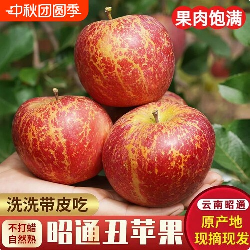 云南昭通丑苹果冰糖心红露5斤新鲜现摘水果红富士直发甄选阳光
