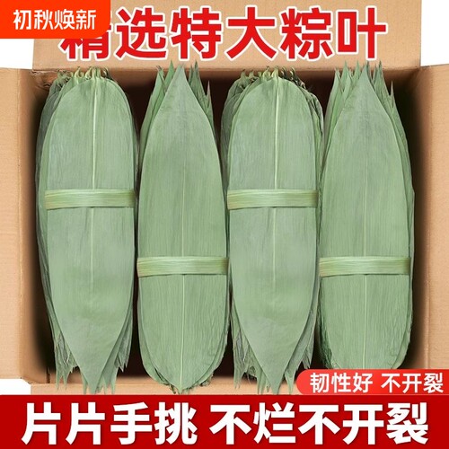 干粽叶特大号粽子叶新鲜麻竹叶商家用箬叶包粽子材料送绳子