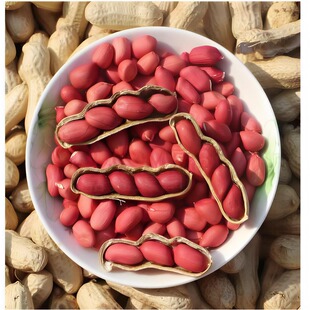 带壳四粒红花生果东北红衣花生2025年新果自然晒干老品种红皮花生